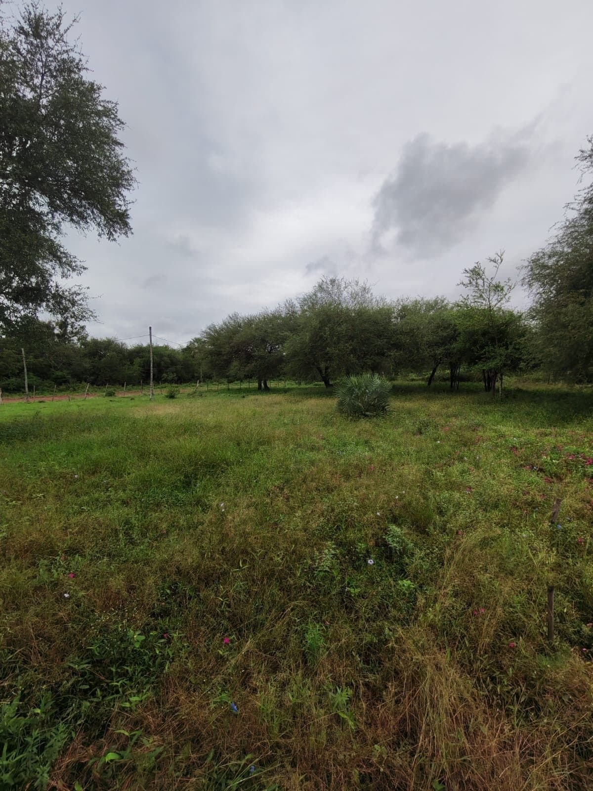 Terreno Chaco'I Nueva Aduncion, foto 2