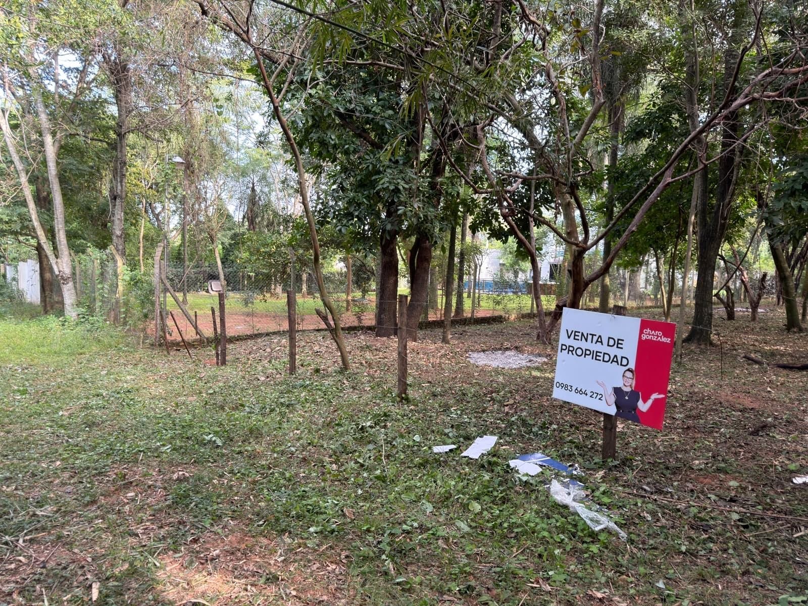 Terreno en Venta - San Bernardino — foto 3