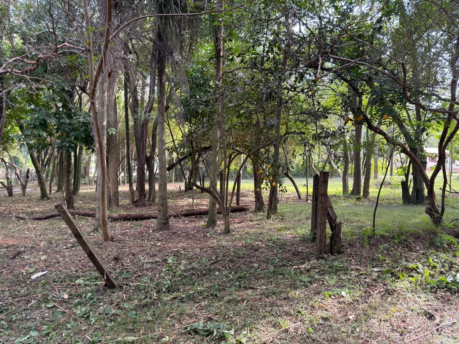 Terreno en Venta - San Bernardino — foto 2