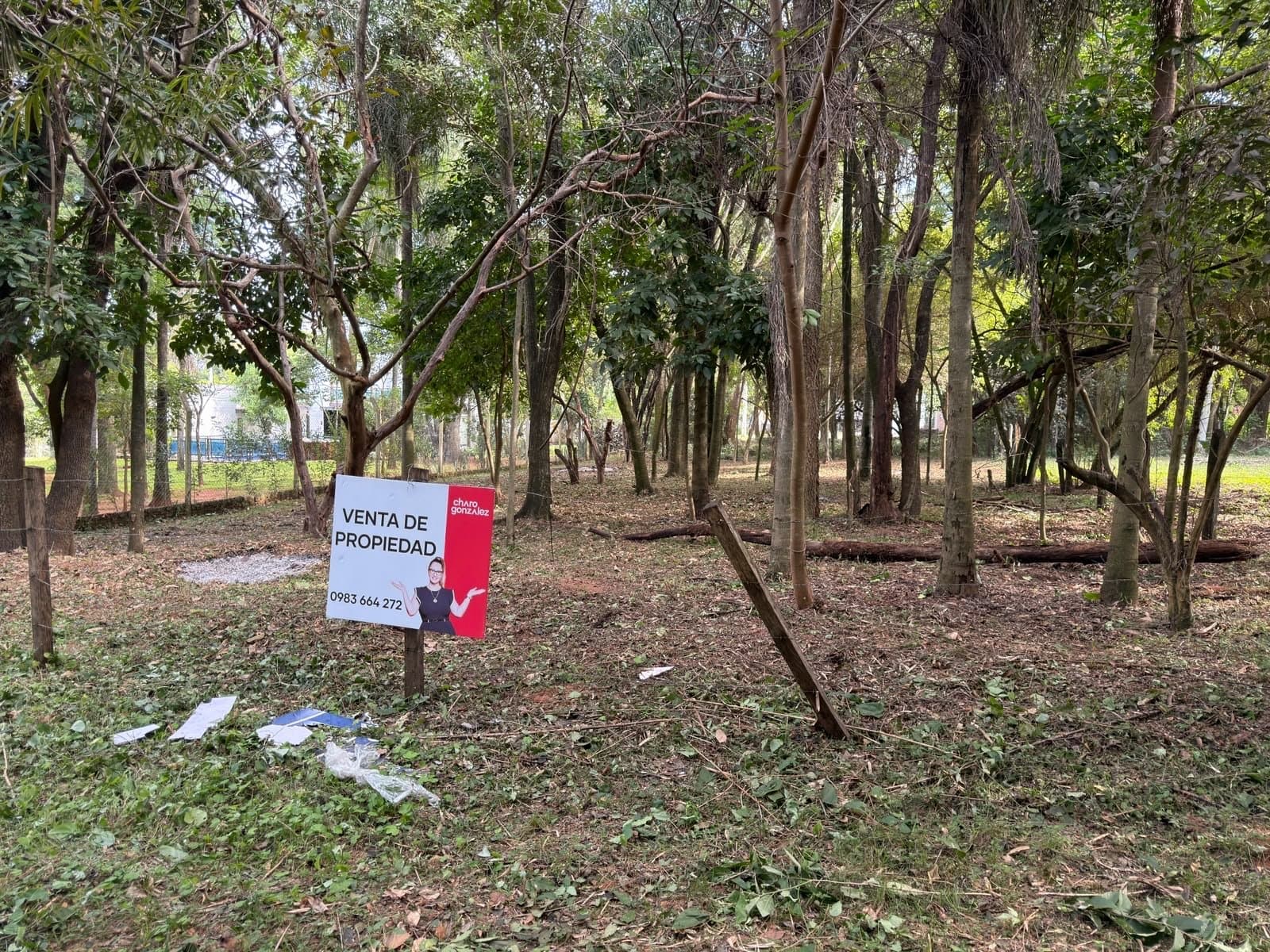 Terreno en Venta - San Bernardino — foto 4