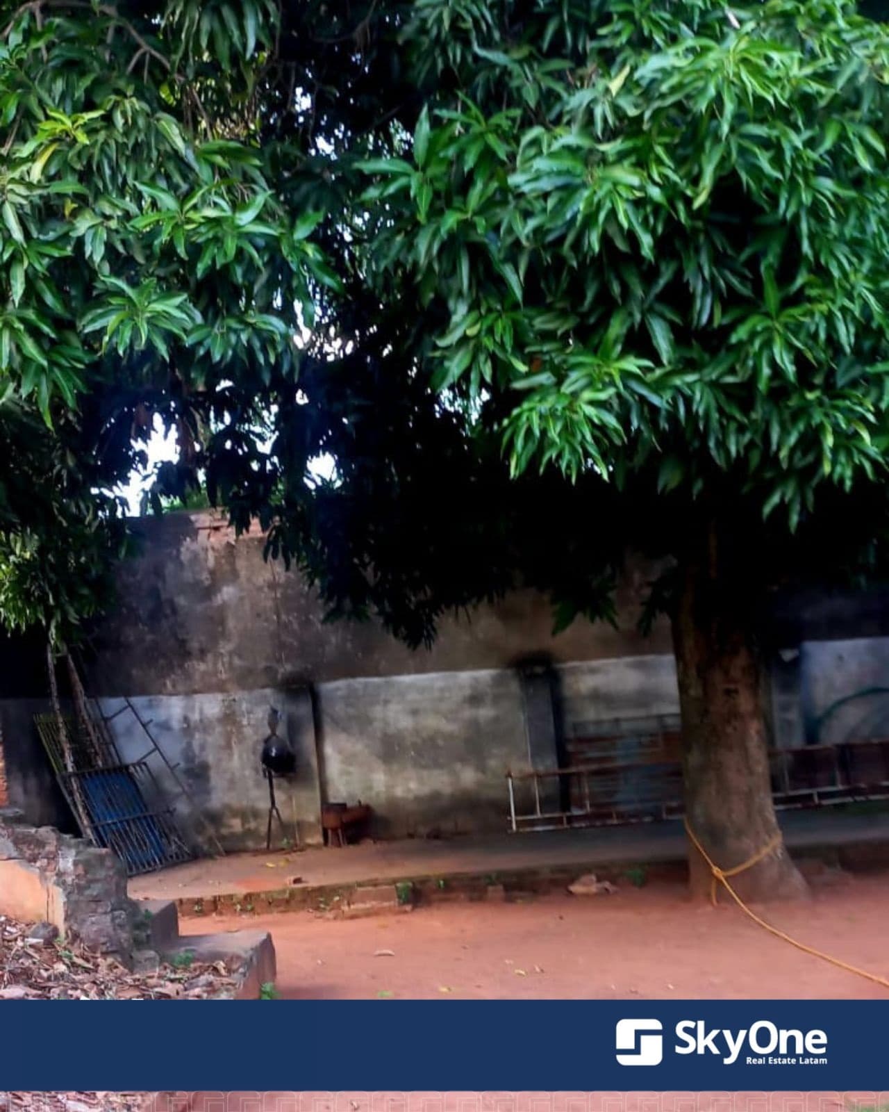 Casa en capiata a media cuadra de la avda thompson — foto 4