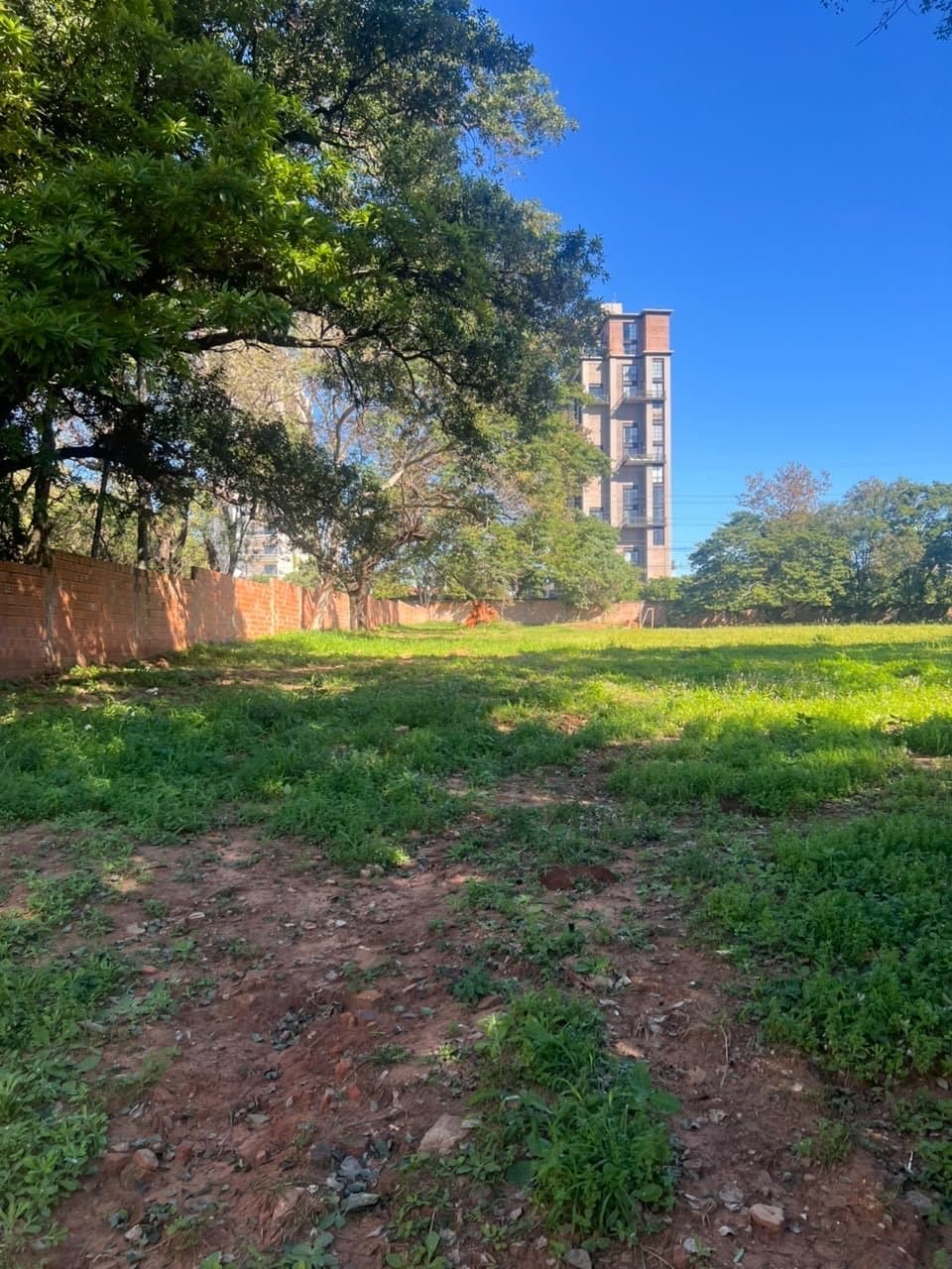 Terreno 6.814 m2 Mburucuyá Sobre Av Primer Presidente, foto 3