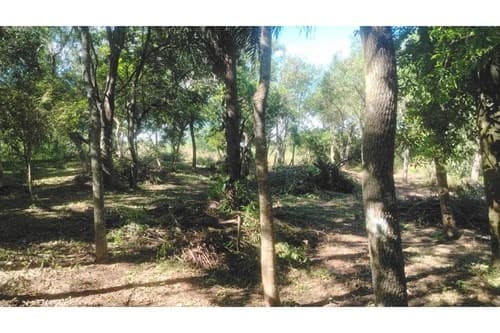2 terrenos en loma grande - agua-y, foto 4