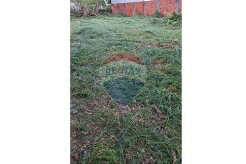 Terreno en Lambaré, foto 3