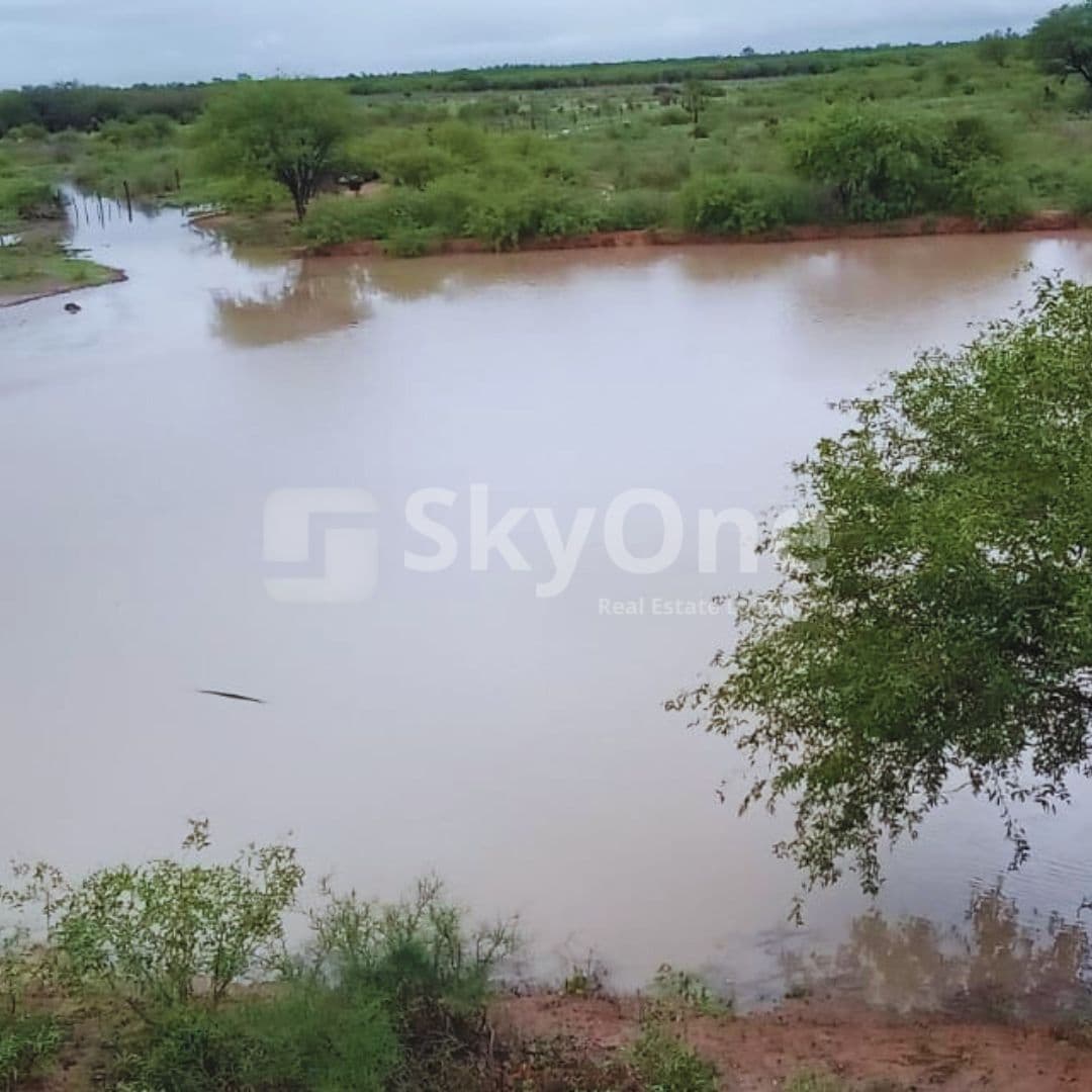 PROPIEDAD EN EL CHACO Dpto. de Alto Paraguay, zona Tte. Martínez — foto 2