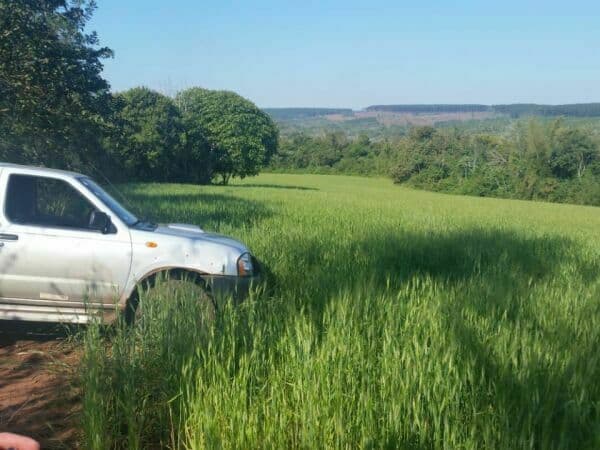 Terreno en venta – 70 hectáreas sobre el río paraná, foto 3
