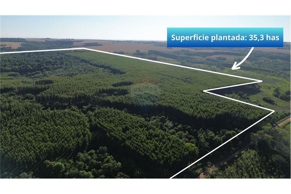 72 hectareas ideal agroforestal en Trinidad itapua, foto 2