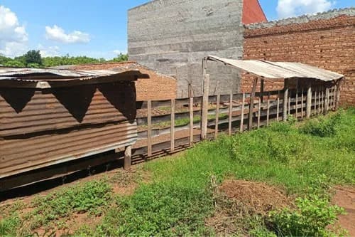 terreno en capiata ruta 1 — foto 3