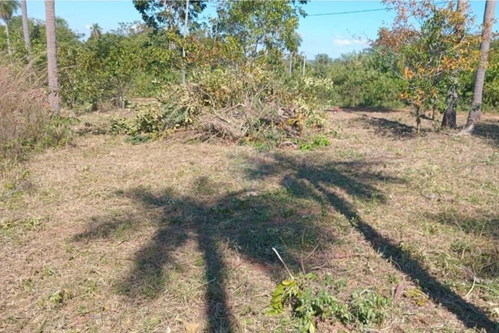 Terreno en loma grande, foto 2