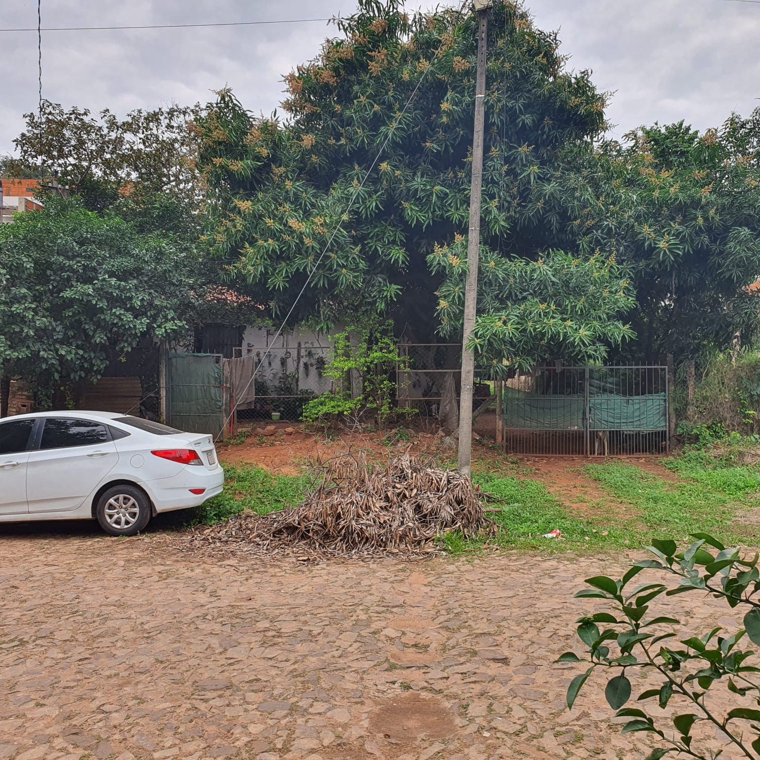 Terreno Con Construcción Con Excelente Ubicación Barrio Sol de América, foto 2