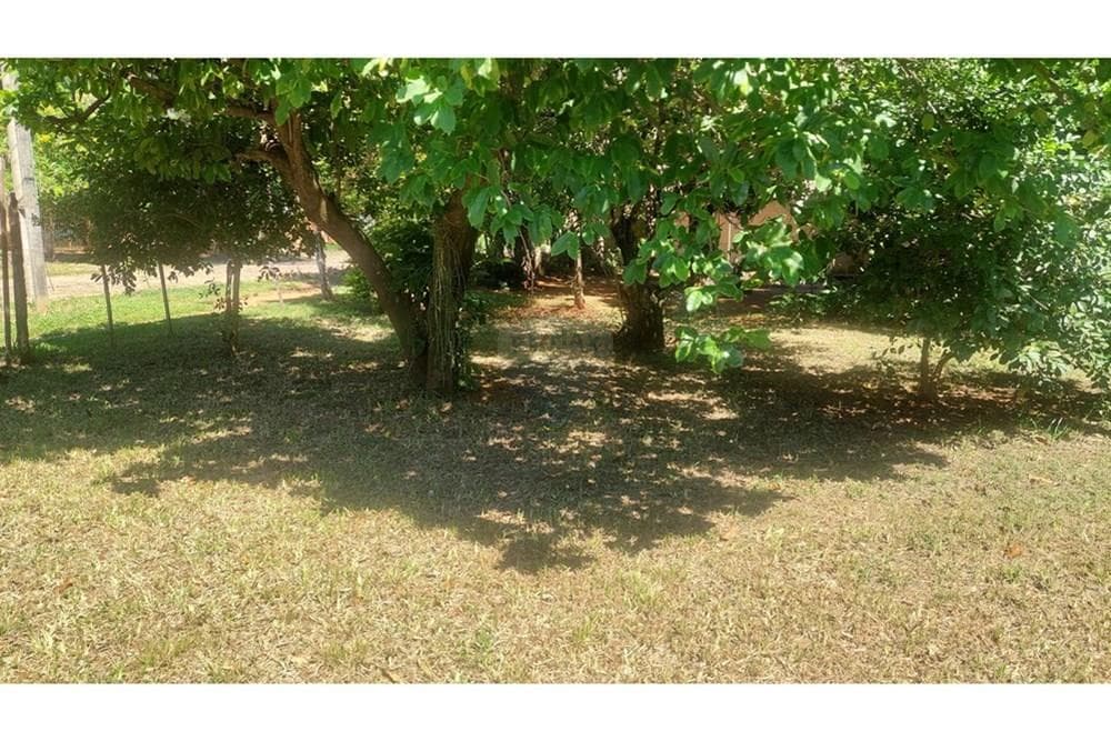 Terreno - Venta - Luque, foto 3
