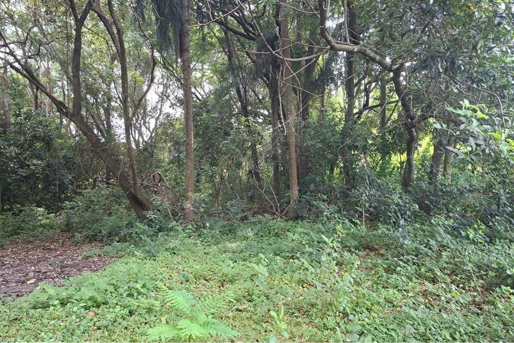 Terreno-Venta-Varón Coopens y Las Residentas, Altos, Cordillera, foto 1