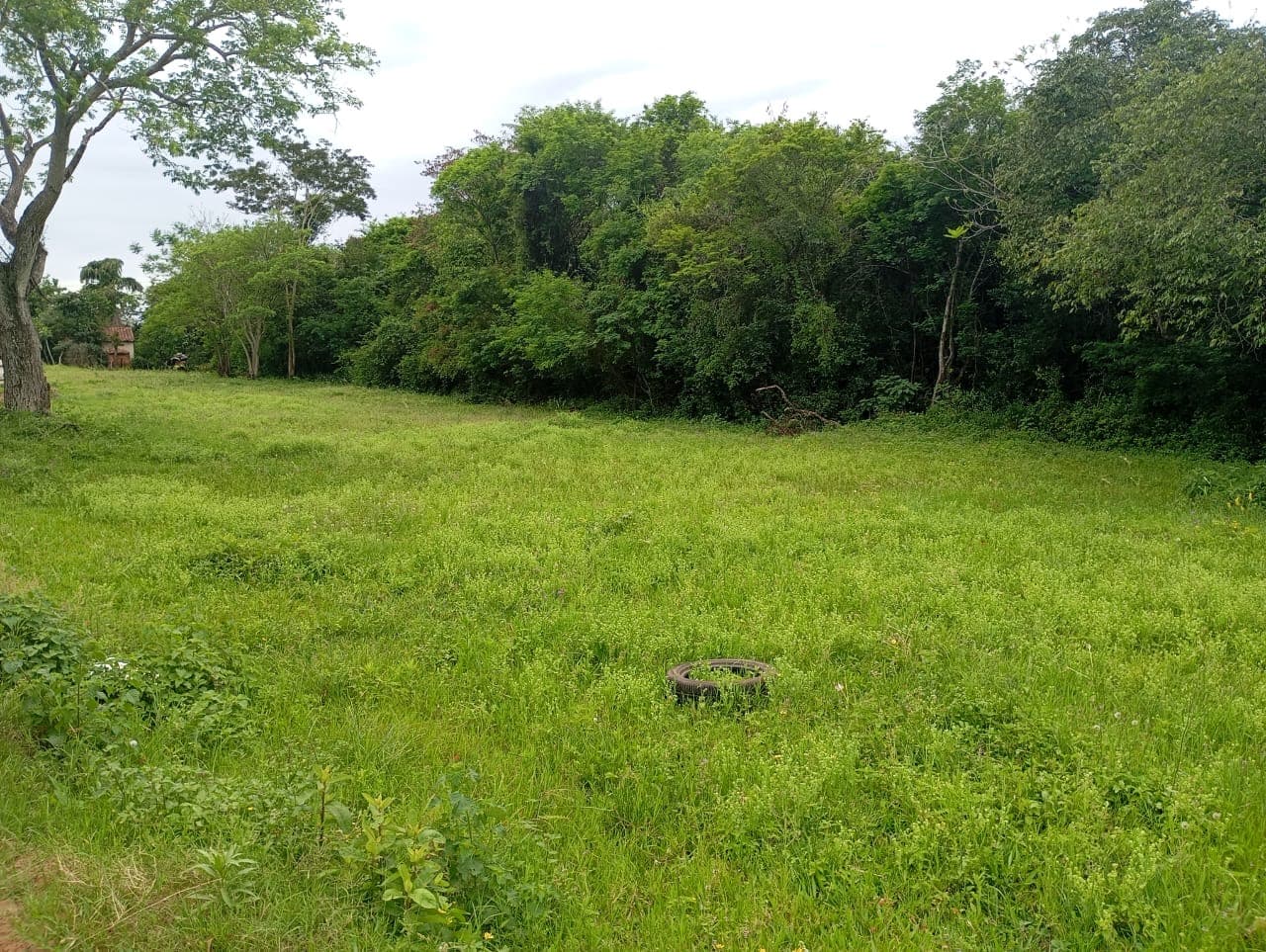 Terreno en zarate isla - Luque, foto 2