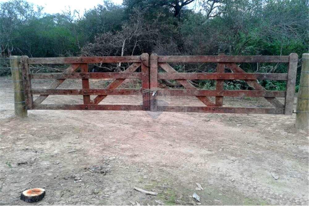 Terreno de 7.425 Hectáreas en Pozo Hondo, Boquerón — foto 3