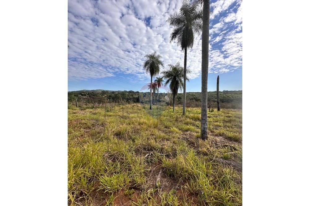 3.6 hectareas en caacupe sobre asfalto, foto 2