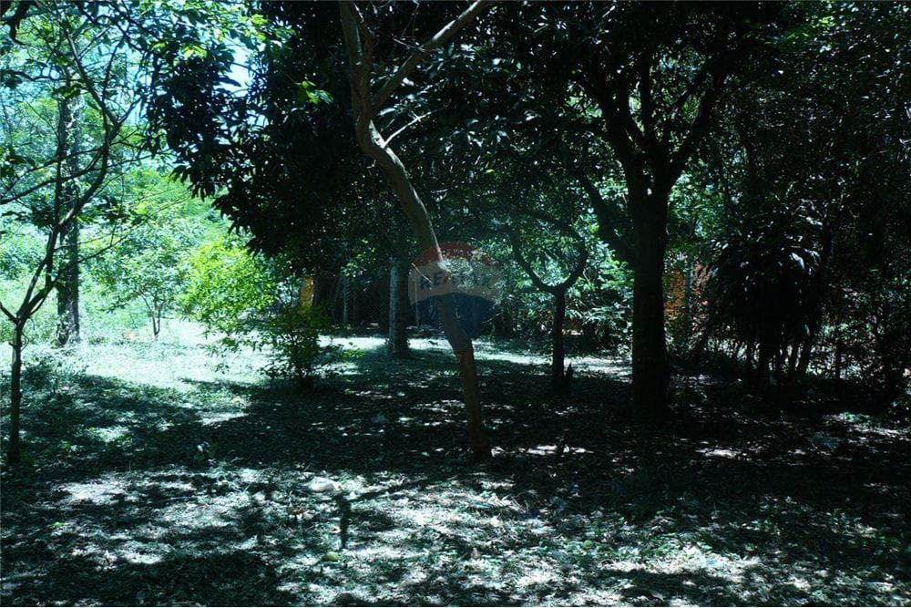 Terreno a pasos de la basilica de caacupe, foto 2