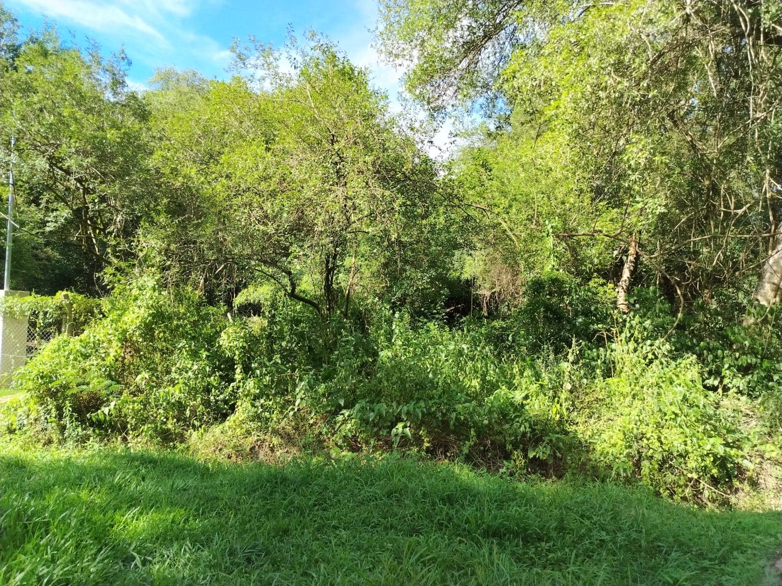 Terreno en Luque, foto 1