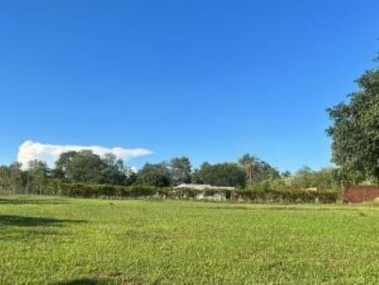 Terreno en venta, coronel oviedo, foto 3