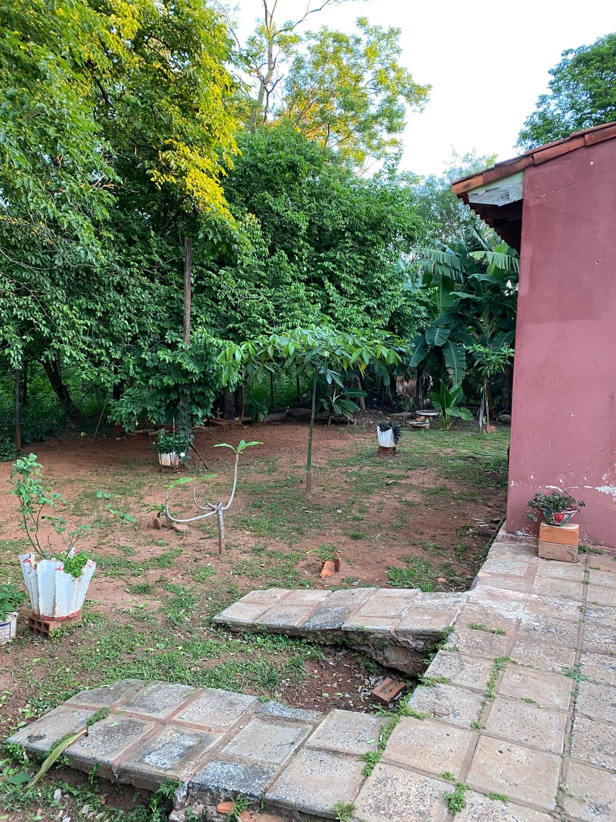 Terreno en isla bogado, Luque, foto 5