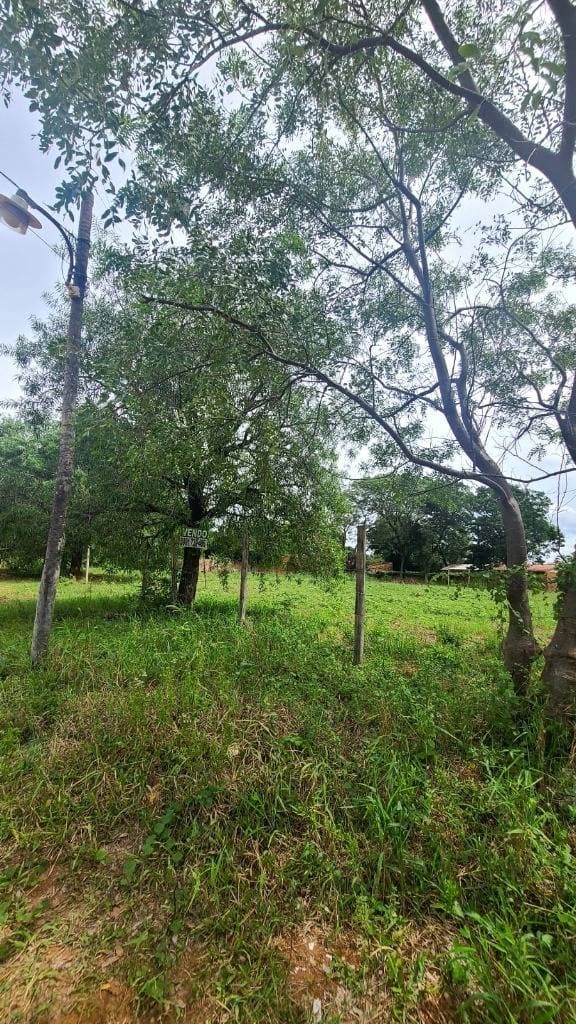 Terreno en venta Mariano Roque Alonso — foto 1