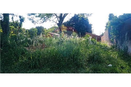 Terreno en Ñemby, foto 2