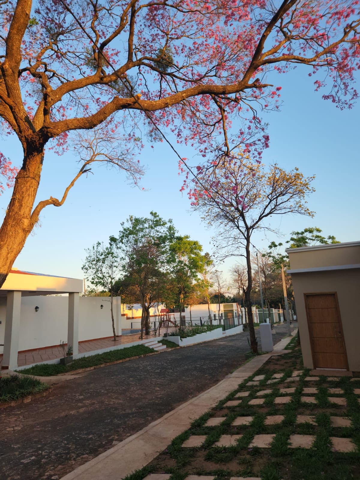 Chalet En Venta En El Barrio Cerrado “el Bosque” – Luque, foto 2