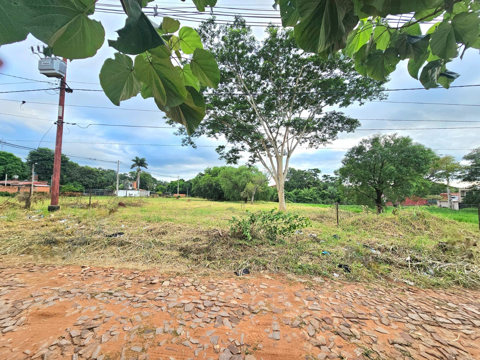Venta gran terreno de 4.239 m2 para inversion, zona Pinedo