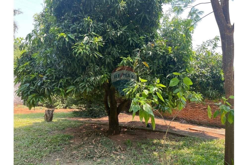 Terreno - Venta - Paraguay Central Ñemby, foto 4