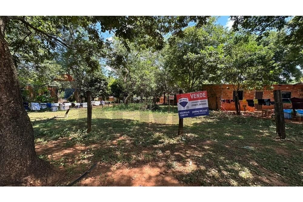 Terreno - isla bogado Luque, foto 4