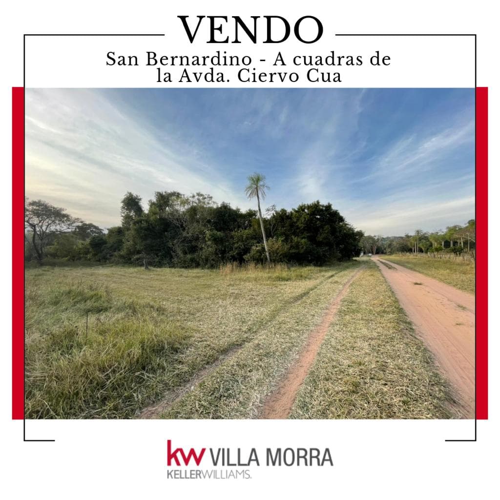 Terreno en San Bernardino, foto 2