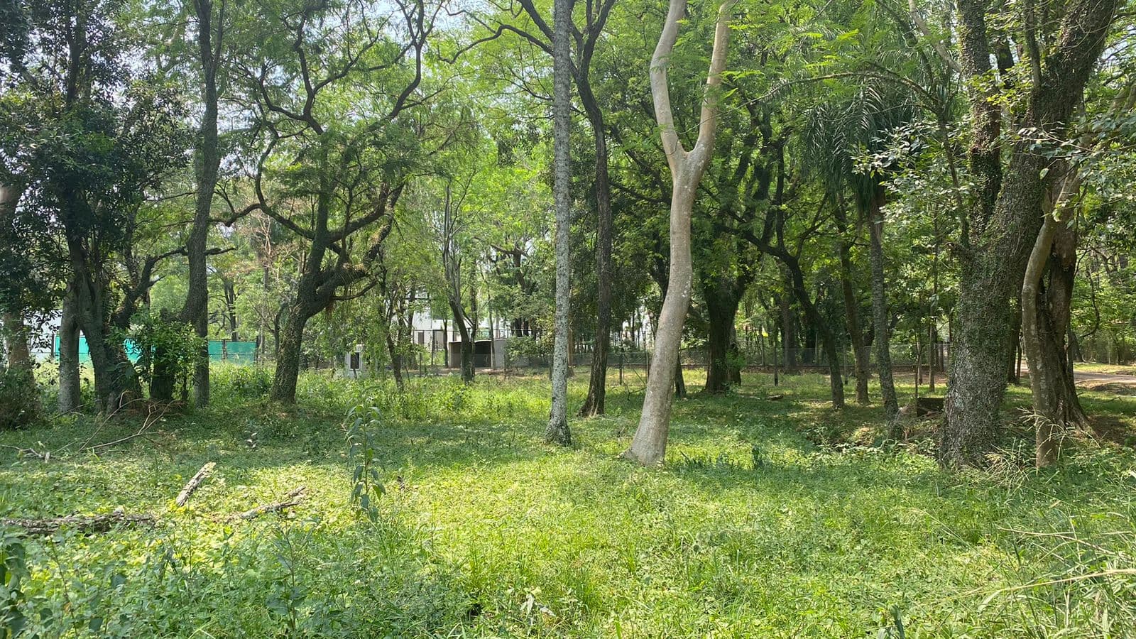 Espectacular Terreno En Bº Hollywood-surubii, foto 2