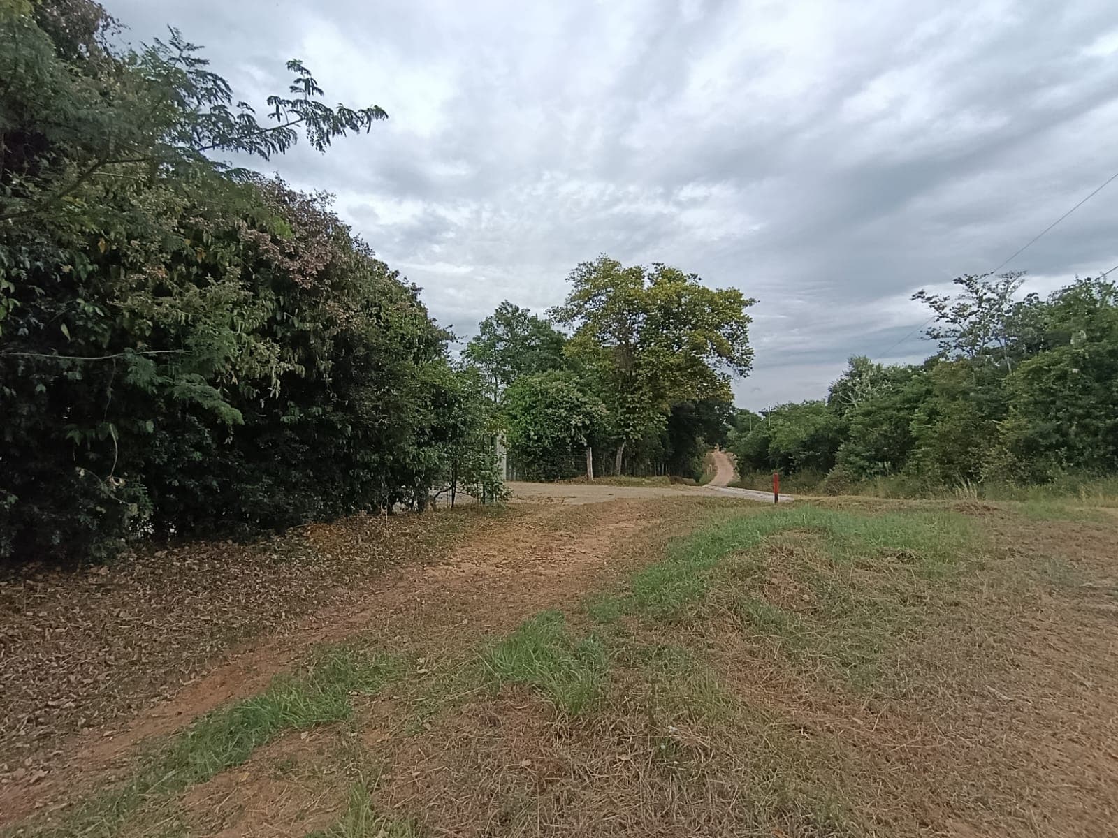 En Venta – 5 Hectáreas En Caaguazú — foto 4
