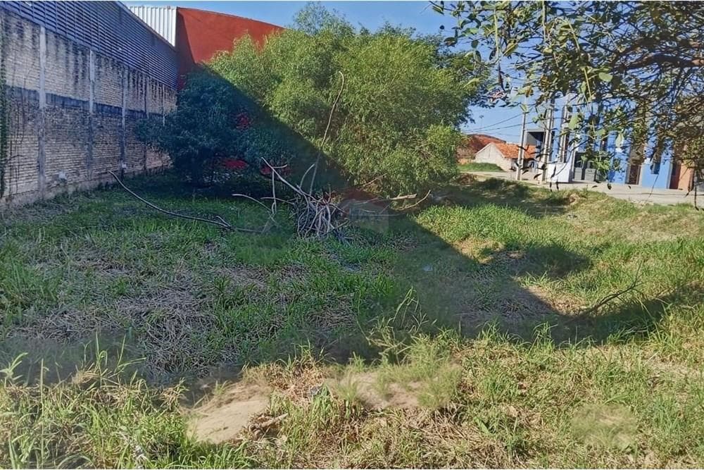 ¡Oportunidad única! Terreno de 360M2 en Mariano R. Alonso, foto 3