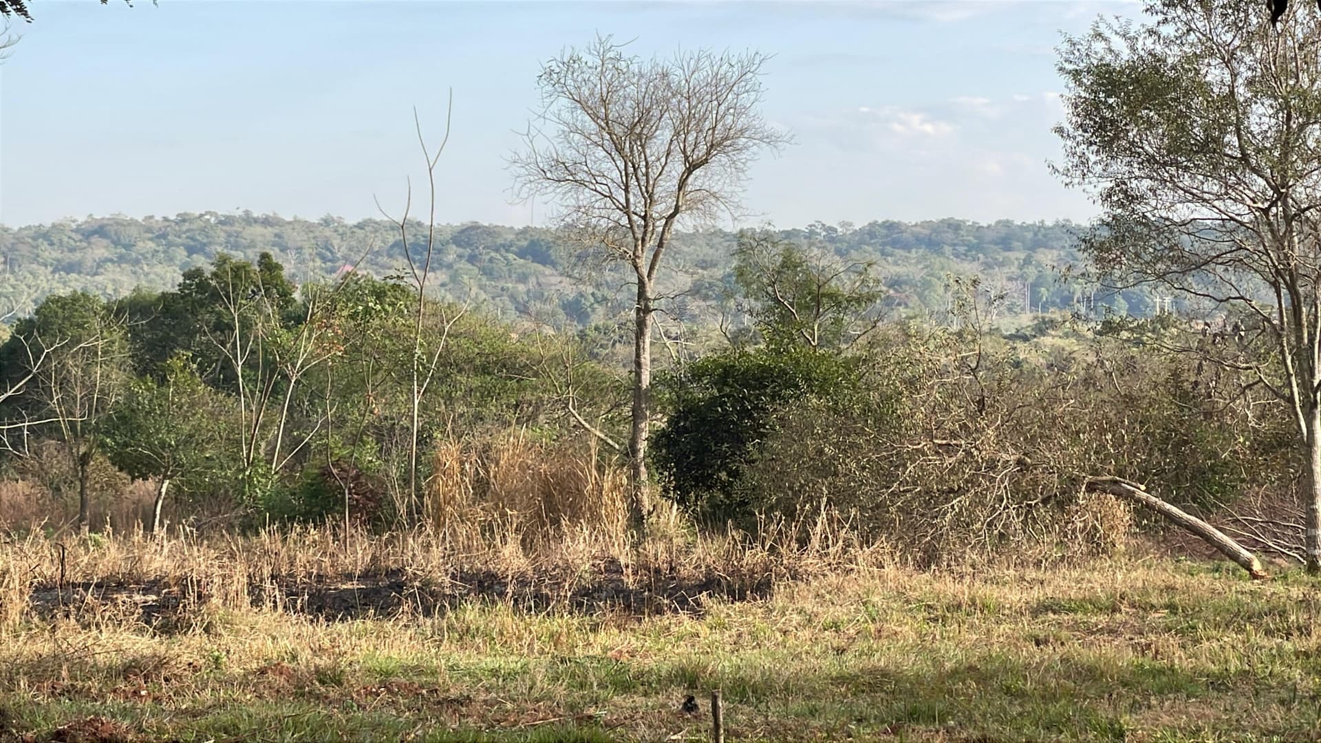 2 hectáreas con arroyito y vistas en Eusebio Ayala A 3 km de Ruta 2, foto 3