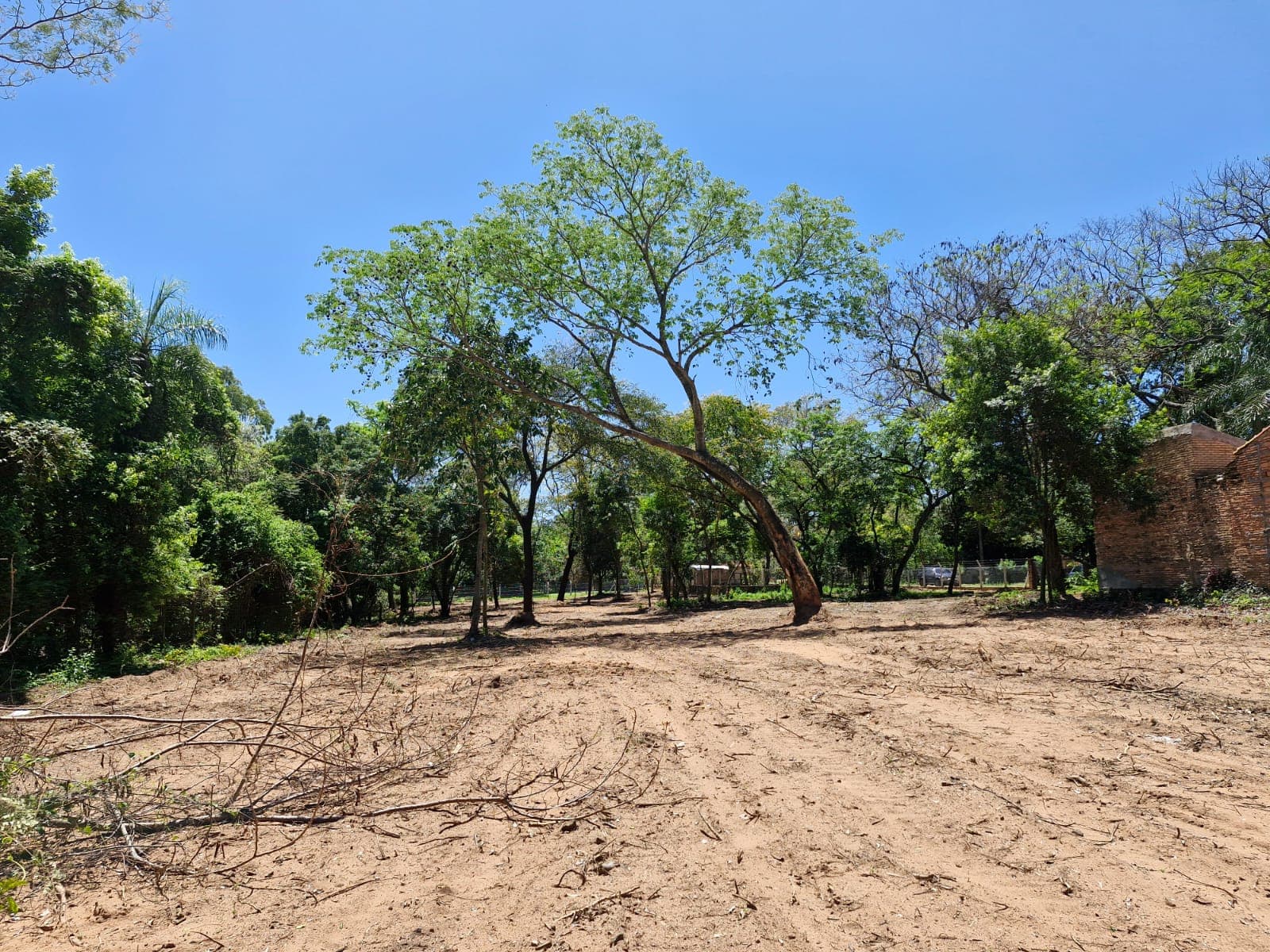 Increíble terreno grande en el centro de San Bernardino 4568m2 — foto 3
