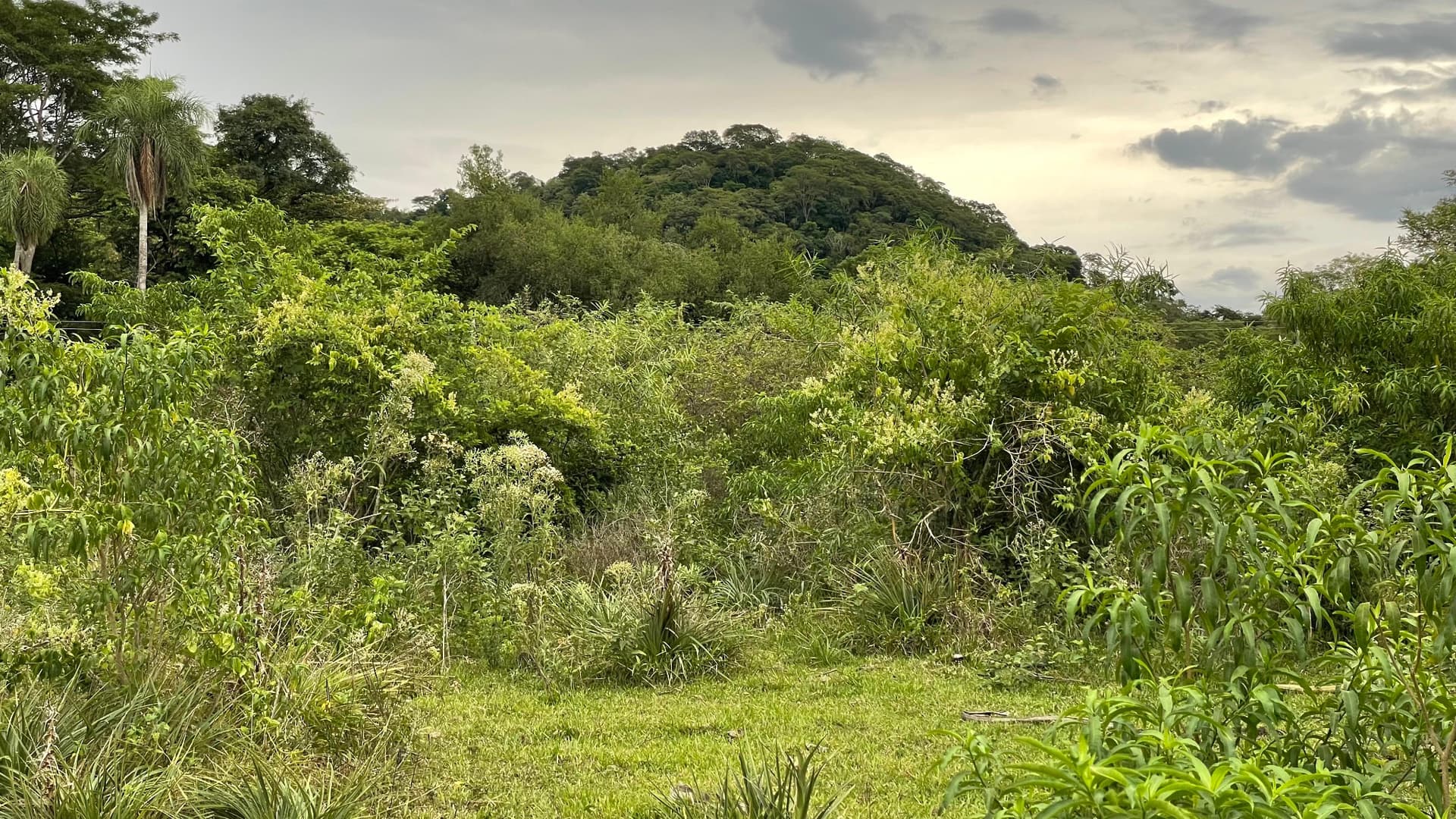 12,9 hectáreas en Sapucai Hermosas vistas, foto 1