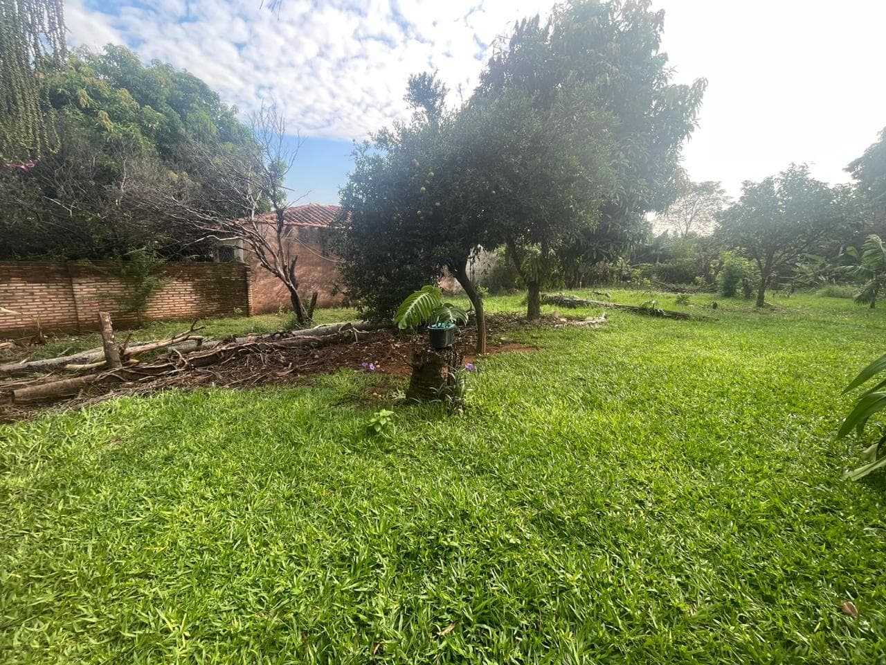 ???????? Terreno en venta – Villa Elisa | barrio villa bonita, foto 5