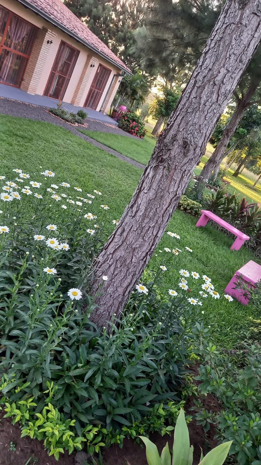 Casa Quinta En Caazapa, foto 4