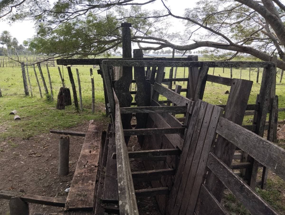 Oportunidad - Gran Propiedad Rural en Tacuaras – Ñeembucú, foto 3