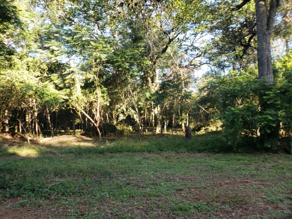 terreno en Altos, foto 2