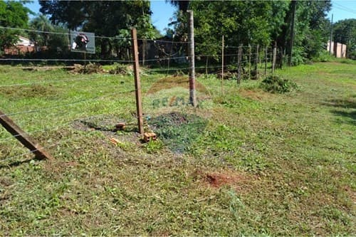 Terreno en Luque, foto 4