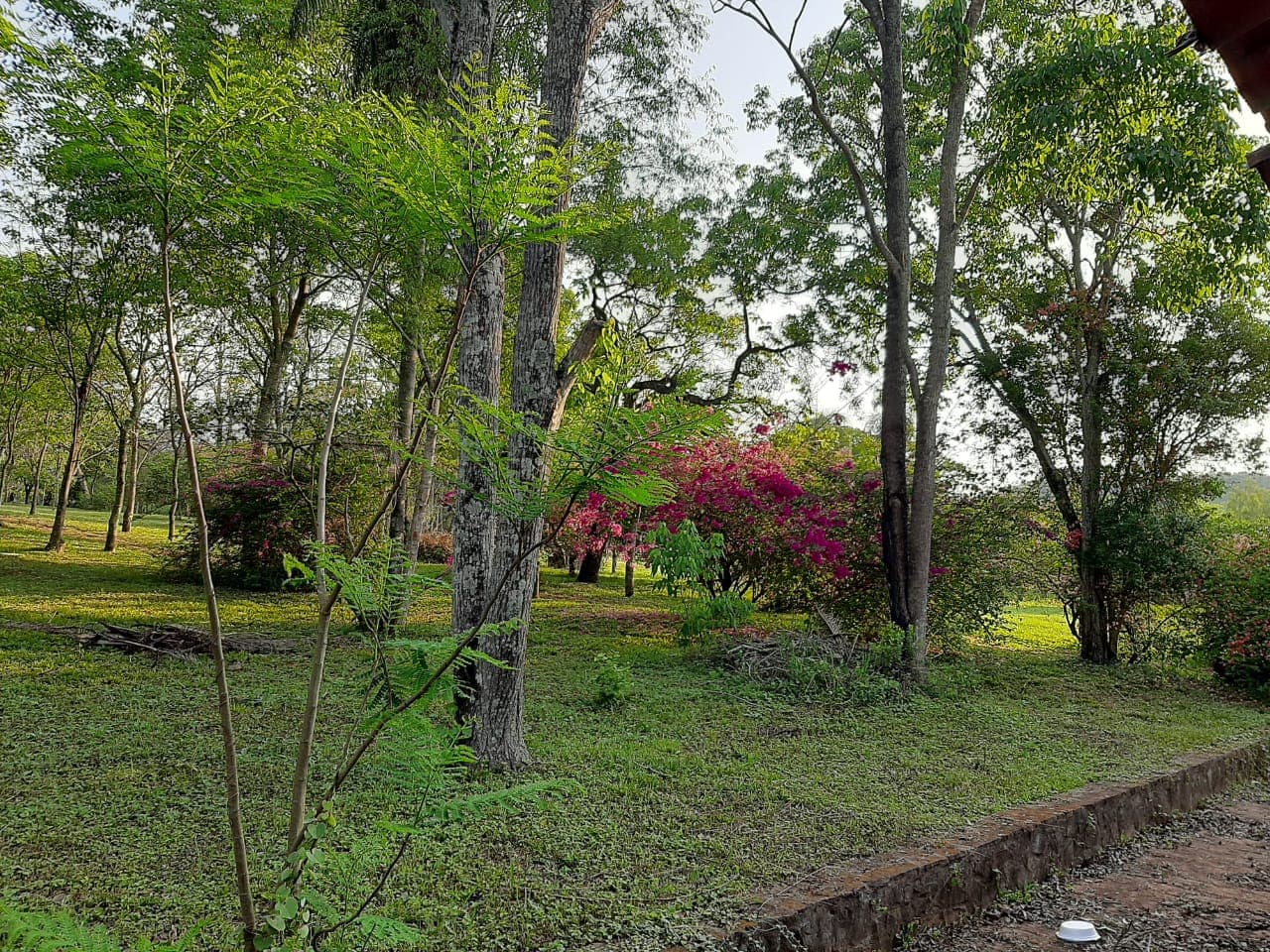 Disponible En Venta 8 Hectáreas En Caacupé Con Arroyo Y Piscina, foto 4