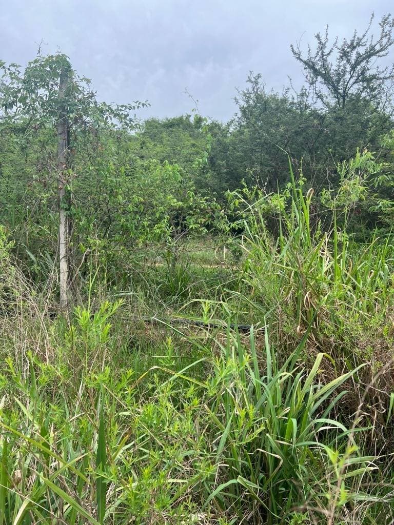 Terreno en urbanizacion surubi i 2, foto 5