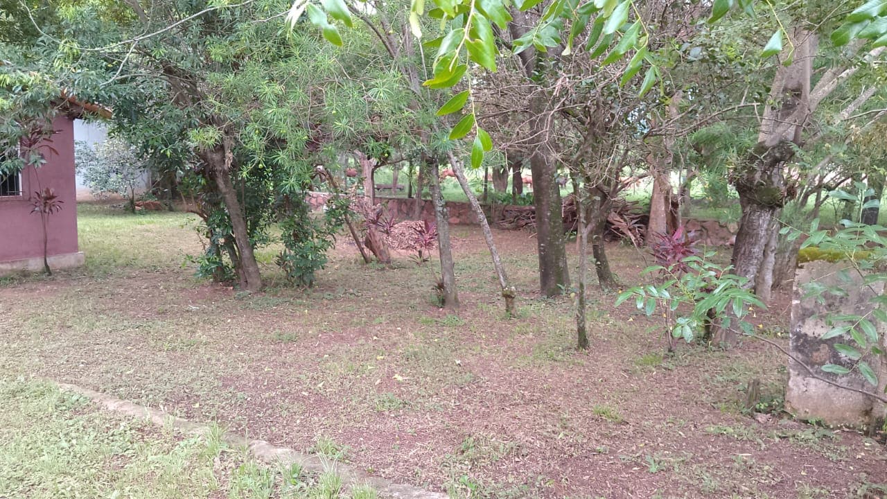 Terreno en mbatovi, foto 5