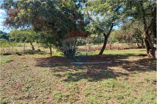 Terreno en Venta en el Centro de Ñemby, foto 3