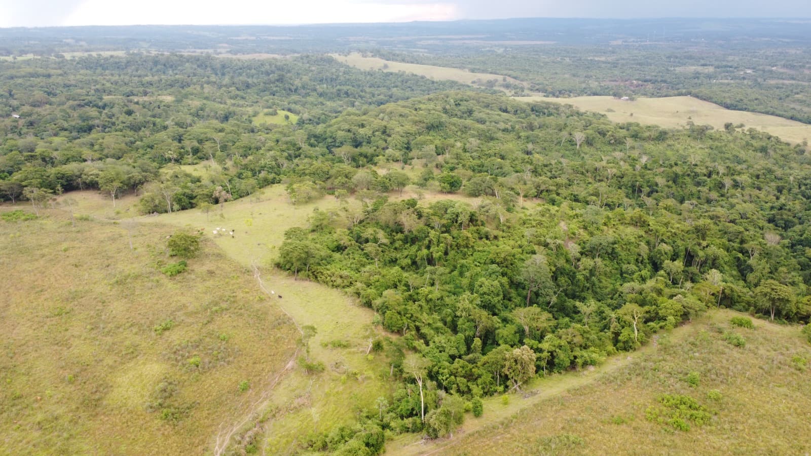 Propiedad rural de 200 ha en zaaguazú, foto 2
