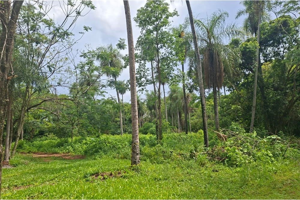 Terreno-Venta-Compañia Ybyhanguy 2da, San Bernardino, Cordillera, foto 3