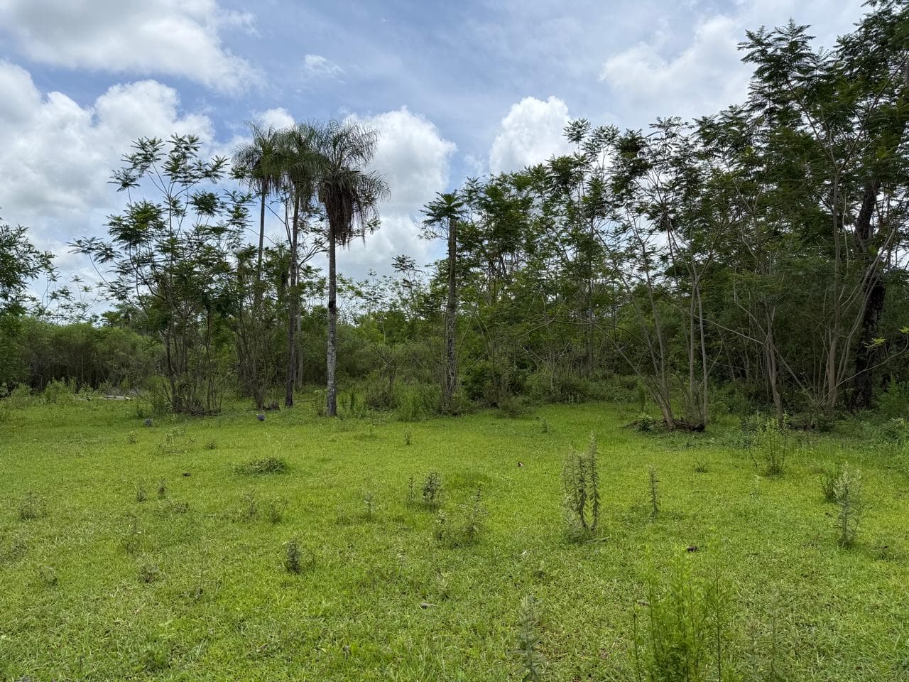BAJÓ DE PRECIO !!! Vendo Propiedad En Carapeguá, 2.5 Ha, foto 2
