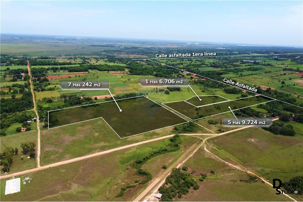 En venta 14 hectáreas sobre ruta asfaltada en Nueva Italia — foto 3