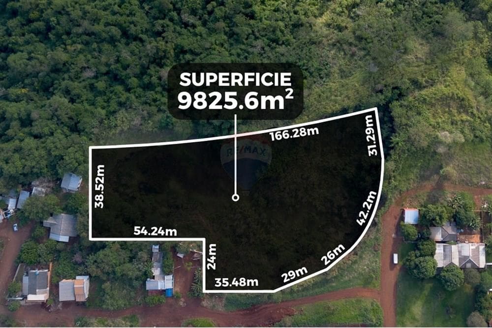 Vendo amplio terreno en presidente franco ideal para desarrollo u hotel